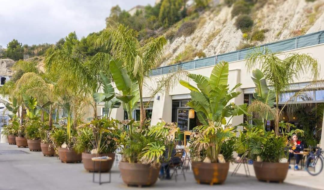 Casa Dolce Vita Ventimiglia Zewnętrze zdjęcie